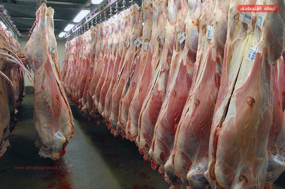 پایگاه خبری آرمان اقتصادی | جامع‌ترین رسانه اقتصادی 2407288 کاهش۲هزار تومانی نرخ گوشت گوسفندی/قیمت برای اربعین تغییر نمی‌کند 