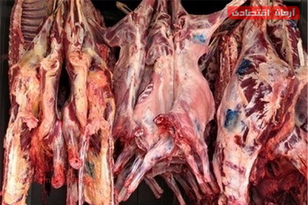 پایگاه خبری آرمان اقتصادی | جامع‌ترین رسانه اقتصادی 2612022 ممنوعیت ذبح «بره‌ماده» در کشتارگاه‌ها/ ثبات قیمت گوشت گوسفندی 