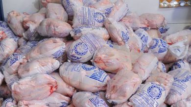 پایگاه خبری آرمان اقتصادی | جامع‌ترین رسانه اقتصادی 2720441-390x220 آغاز صادرات مرغ به افغانستان/شکار پرندگان وحشی ممنوع است  