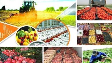 پایگاه خبری آرمان اقتصادی | جامع‌ترین رسانه اقتصادی 1603798499_3515761-390x220 ایجاد شهرک‌های تخصصی تولید نهاده‌های کشاورزی 