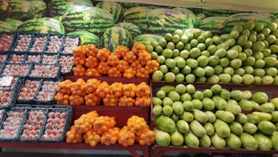 پایگاه خبری آرمان اقتصادی | جامع‌ترین رسانه اقتصادی 3633546-390x220 قیمت جدید انواع میوه و صیفی در میدان مرکزی میوه و تره بار تهران 