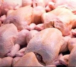 پایگاه خبری آرمان اقتصادی | جامع‌ترین رسانه اقتصادی 1619001594_4-250x220 صادرات ۴۰۰۰ تن مرغ در زمان ممنوعیت!  