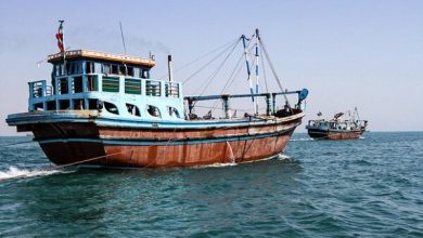 پایگاه خبری آرمان اقتصادی | جامع‌ترین رسانه اقتصادی 3326139-390x220 جلوگیری از صیدهای غیرمجاز در آب‌های خوزستان 
