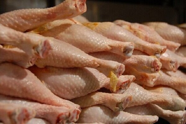 کمبود مرغ در استان بوشهر/ نیازهای مردم با قیمت مناسب تامین شود