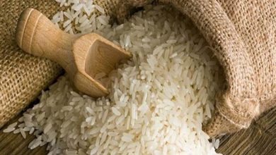 پایگاه خبری آرمان اقتصادی | جامع‌ترین رسانه اقتصادی 61690272-390x220 افزایش ۱۳۷ درصدی قیمت برنج وارداتی/ فروش ایرانی تا ۴۳ هزار تومان  