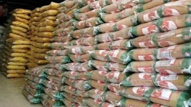 پایگاه خبری آرمان اقتصادی | جامع‌ترین رسانه اقتصادی 3765595-390x220 تصمیم برای ممنوعیت یا واردات برنج بزودی نهایی می‌شود 