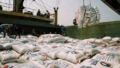 پایگاه خبری آرمان اقتصادی | جامع‌ترین رسانه اقتصادی 3535878-390x220 ترخیص ۱۳ هزار تن برنج دپو شده در گمرک از روز چهارشنبه  