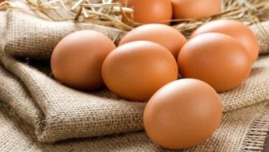 پایگاه خبری آرمان اقتصادی | جامع‌ترین رسانه اقتصادی 3145183-390x220 چگونه تخم مرغ را ارزان‌تر بخریم؟  