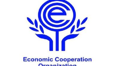 پایگاه خبری آرمان اقتصادی | جامع‌ترین رسانه اقتصادی 2868117-390x220 افزایش ۵۱ درصدی صادرات ایران به کشورهای عضو اکو 