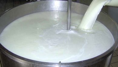 پایگاه خبری آرمان اقتصادی | جامع‌ترین رسانه اقتصادی 2337154-390x220 قیمت تضمینی شیر خام درب دامداری، کیلویی ۱۲ هزار تومان تعیین شد 