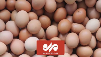 پایگاه خبری آرمان اقتصادی | جامع‌ترین رسانه اقتصادی 4149555-390x220 کاهش قیمت تخم‌مرغ در میادین تره‌بار 