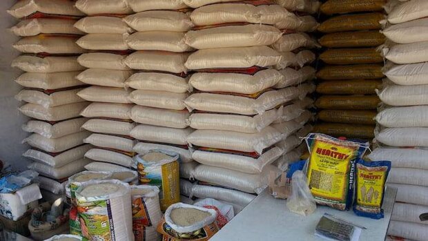 افزایش قیمت برنج به نام کشاورز به کام دلال/ قیمت تضمینی راهگشاست