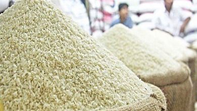 پایگاه خبری آرمان اقتصادی | جامع‌ترین رسانه اقتصادی 4185970-390x220 لزوم توجه به نوسازی شالیکوبی ها برای کاهش ضایعات برنج  