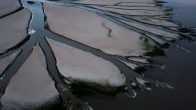 پایگاه خبری آرمان اقتصادی | جامع‌ترین رسانه اقتصادی 1664261741_62390642-390x220 خشکسالی بزرگترین دریاچه چین را خشکاند  
