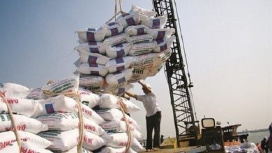 پایگاه خبری آرمان اقتصادی | جامع‌ترین رسانه اقتصادی 4299599-390x220 هند؛ بزرگترین وارد کننده برنج به ایران/ واردات برنج اماراتی  