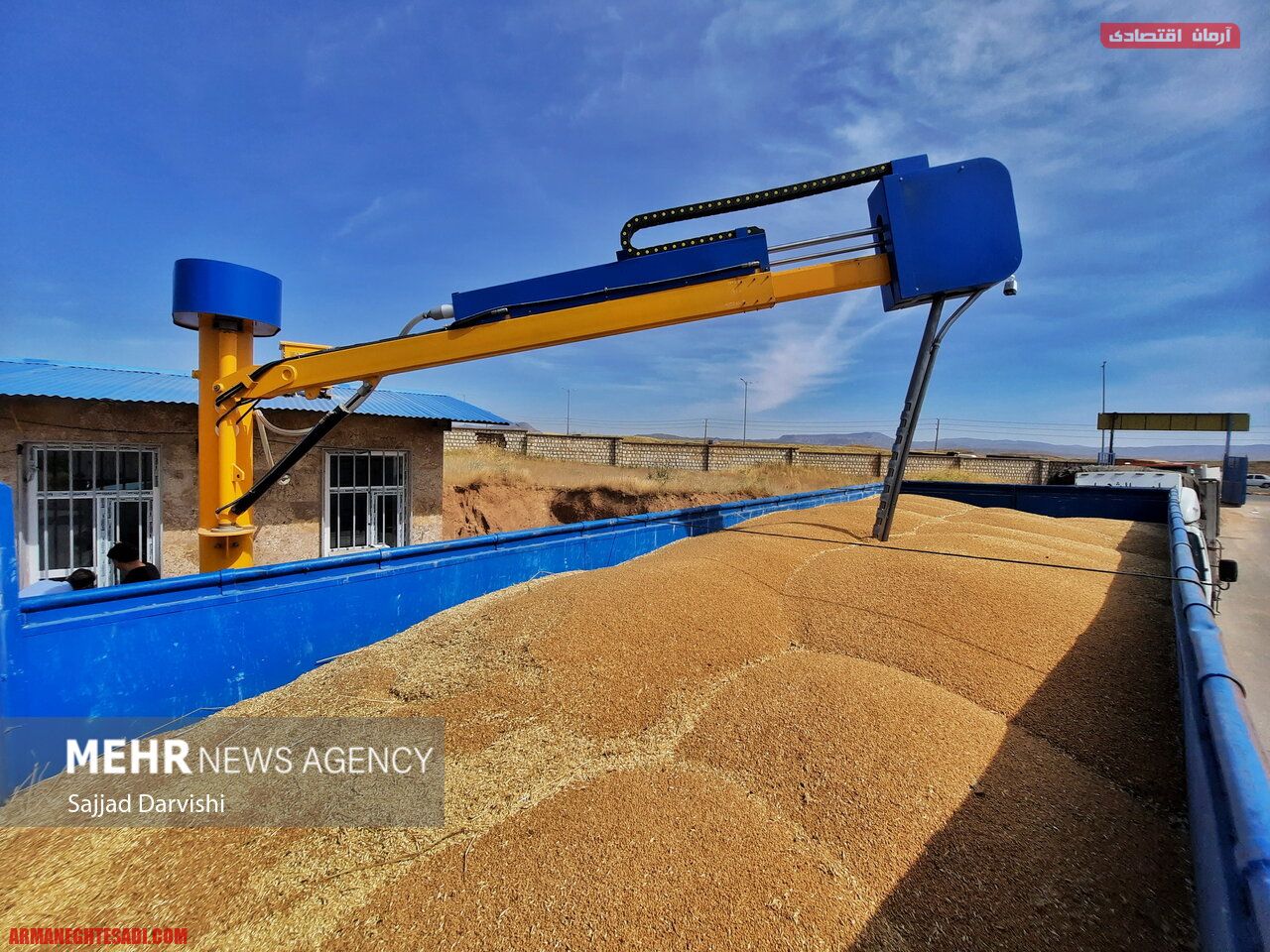 رشد تولید گندم در کهگیلویه و بویراحمد/ رکورد خرید تضمینی شکسته شد