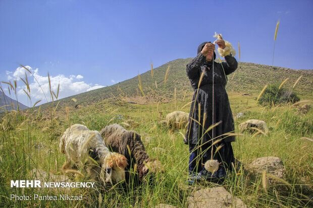 «قوز» جریمه بانکی عشایر «بالای قوز» خشکسالی