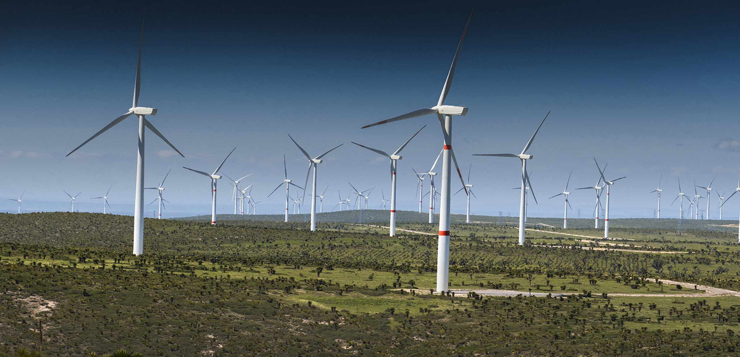 نجات از سوخت‌های فسیلی با انرژی‌های باد آورده/ امکان تامین یک‌سوم برق کشور با نیروگاه سنگان