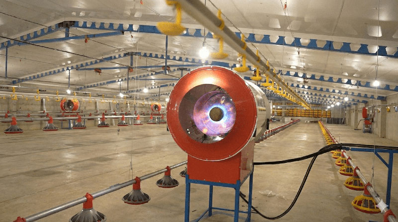 jet-heater-poultry-farm