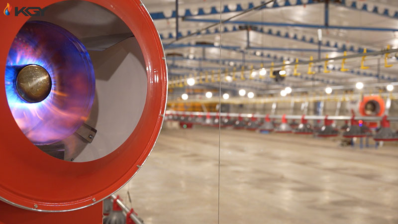 بخاری برای مرغداری