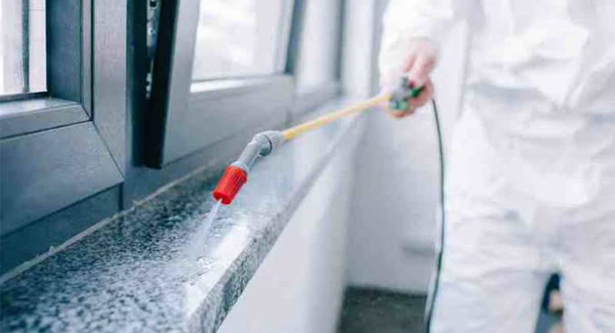 چرا ماداکتو سرویس انتخابی مطمئن تر است؟