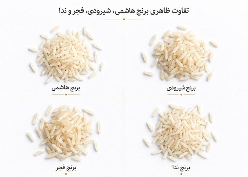 مقایسه انواع برنج ایرانی هاشمی شیرودی فجر و ندا